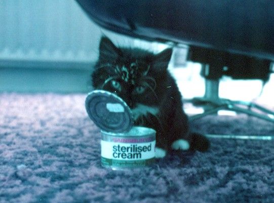 His first day treat!